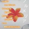 Aqua Timez/プルメリア～花唄～